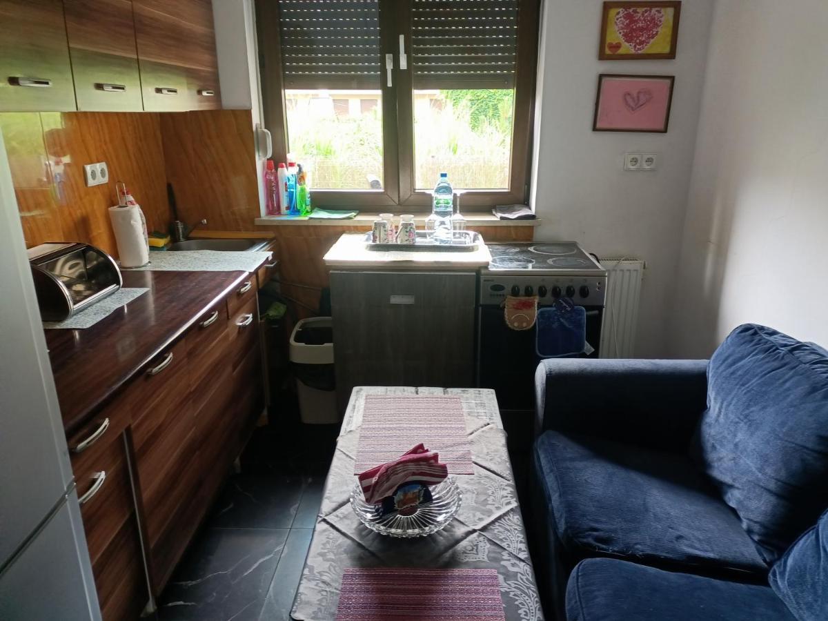 Maestro Z Tarasem I Garazem Apartament Wrocław